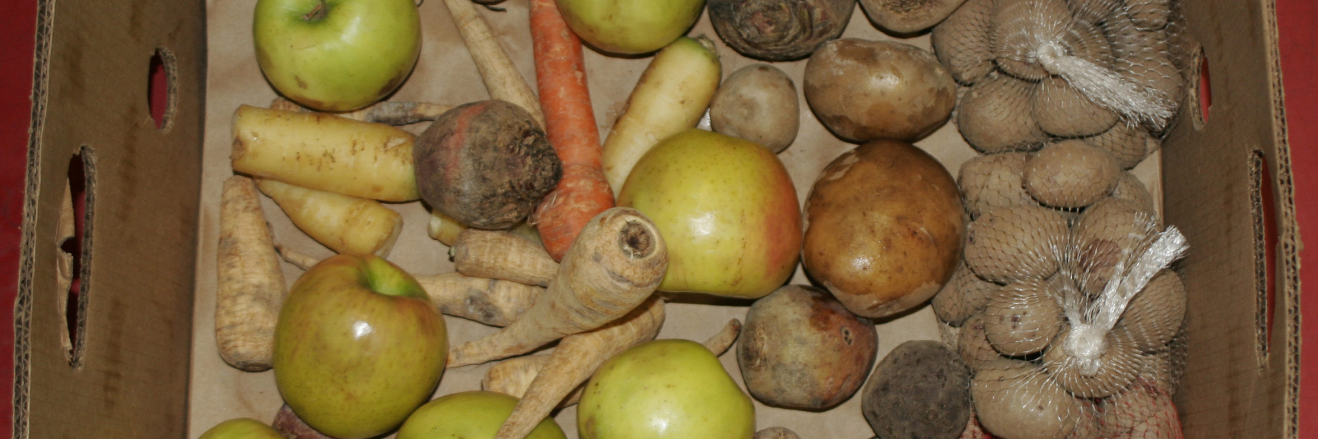 Local Food Ventures awarded over 0,000 in Grants