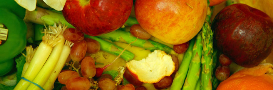 Practice Greenhealth and Feeding America Partner to Increase Food Donation