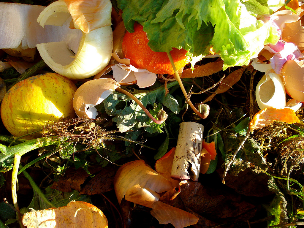 Four Massachusetts Organizations Recognized as 2019 EPA Food Recovery Challenge Winners