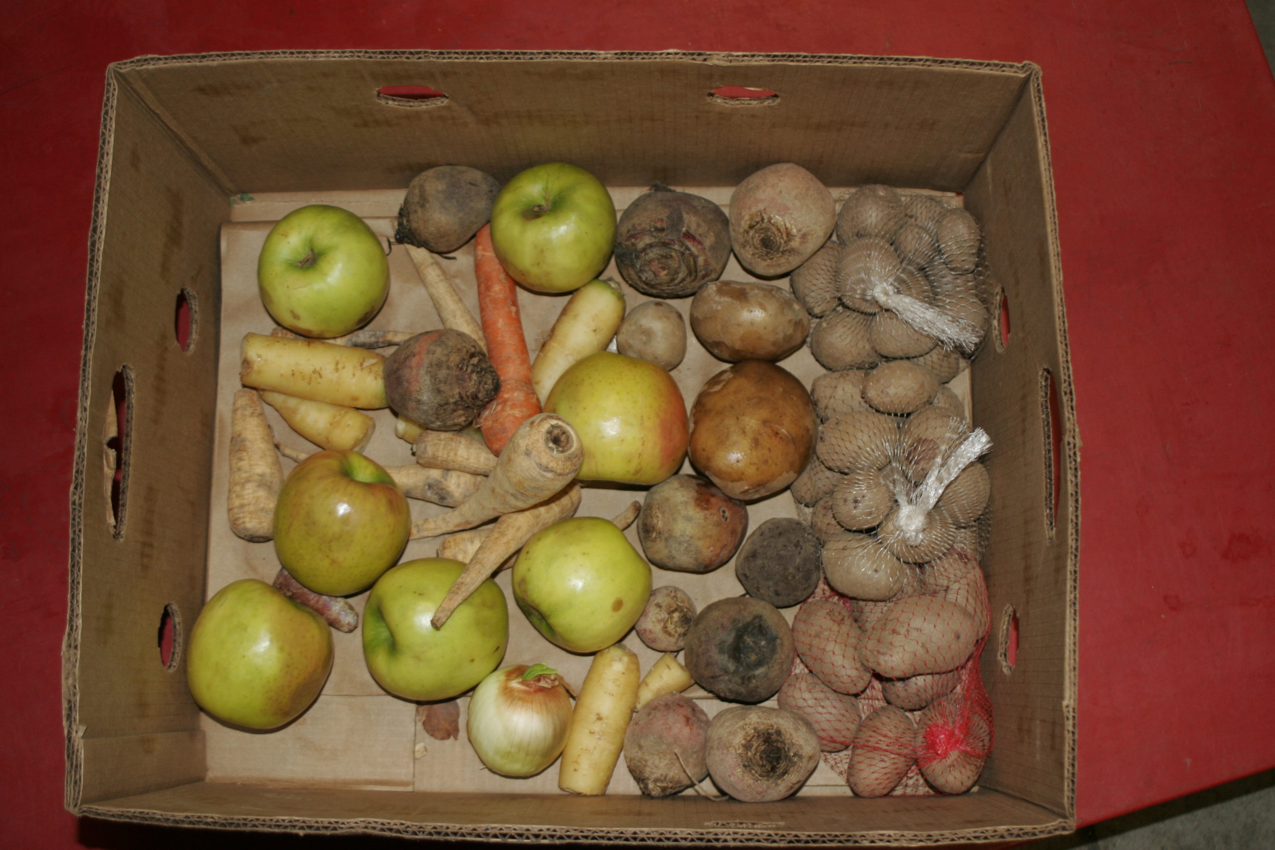 Food Rescue and Donation Continue to Increase Across Massachusetts