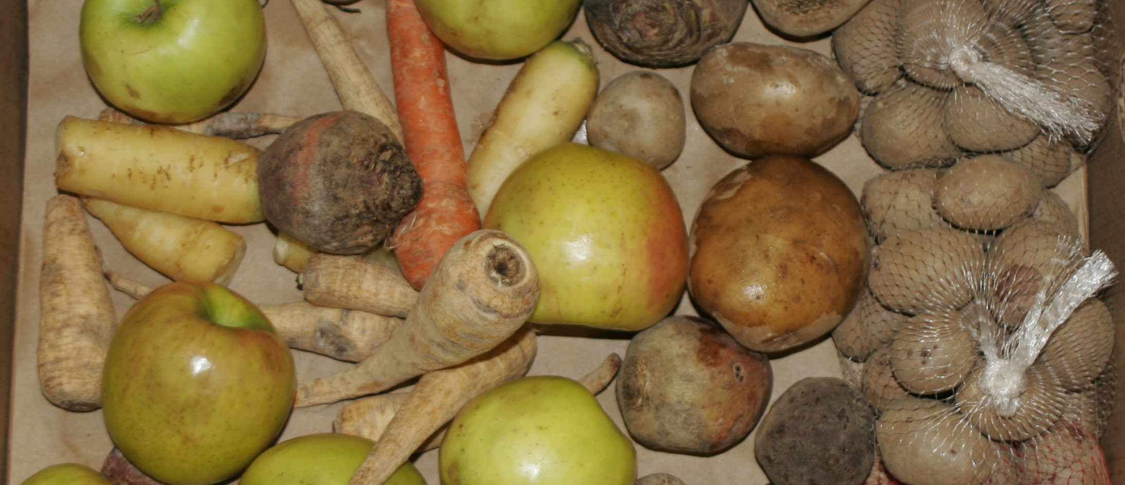 Source Reduction and Food Rescue Offer the Greatest Potential for Reducing Wasted Food