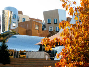 Ray and Maria Stata Center for Computer, Information, and Intelligence Sciences at MIT