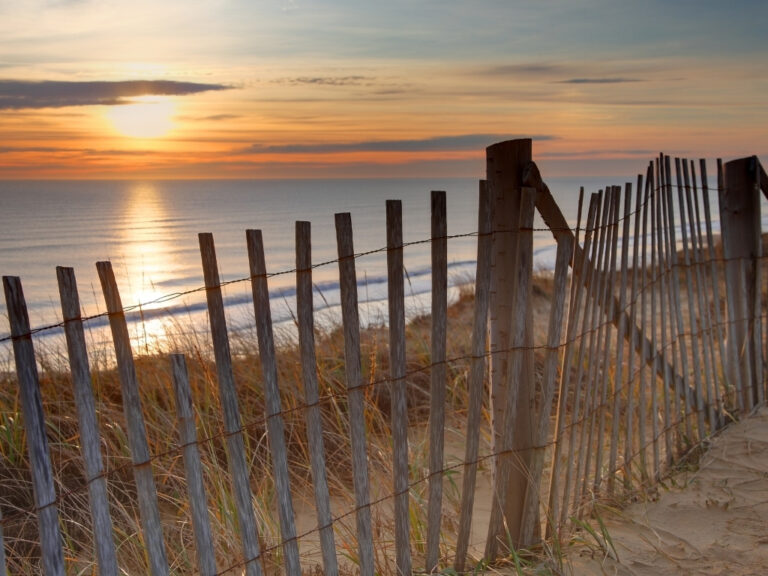 Reusables on the Cape: How Local Businesses are Turning the Tide on Single-Use Waste