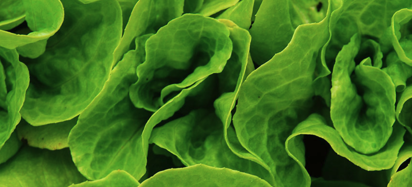 Divert RecyclingWorks In MA Database Listing divert-recyclingworks-in-ma-database-listing